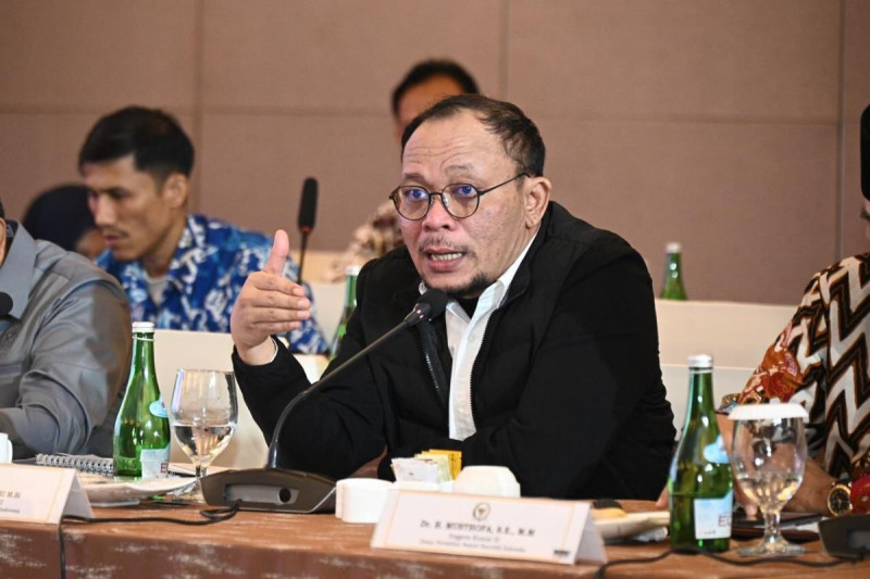 Foto Wakil Ketua Komisi XI DPR RI M Hanif Dhakiri.