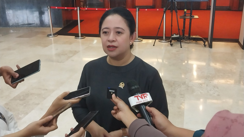Ketua DPR RI Puan Maharani